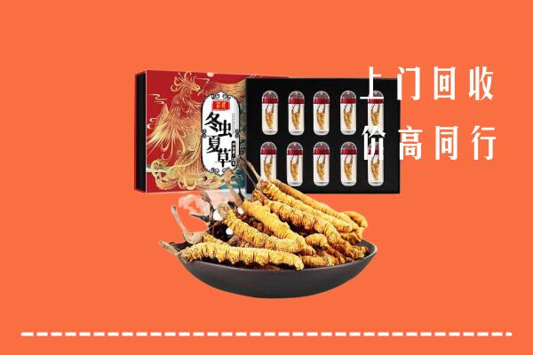 附近收购：泉州回收虫草